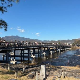 久しぶりの渡月橋