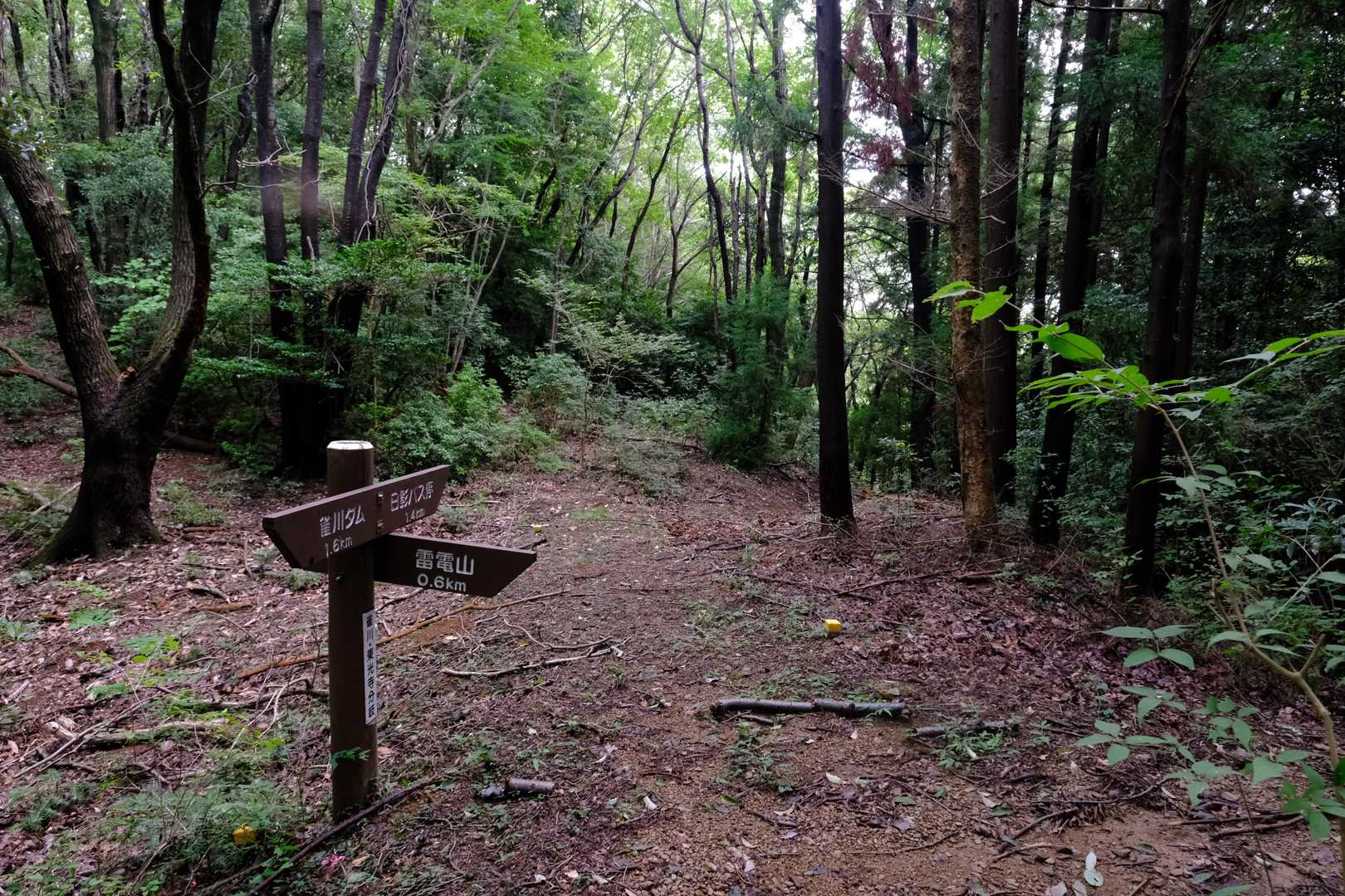 しばらく進むと峠の分岐点へ。山頂方面はここから道標に従って右折する。