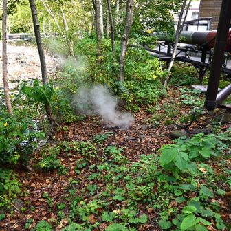 直ぐに松川温泉 峡雲荘で入浴

いつもながらの食事難民、、、、高速Pで食事

最高の紅葉登山の余韻に浸りながら帰路につきました