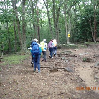緩やかな登りは最初だけ