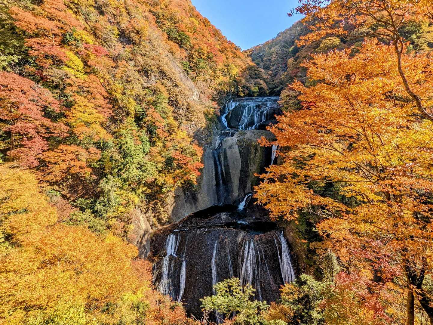 観瀑台2Fからの眺め。紅葉と合わせてパーフェクト