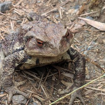 今日３人目の登山者と遭遇山頂まで行くのかな