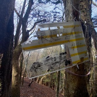 片道10分ほど歩き狼煙場山🐺に立ち寄りました。眺望はありません。ピストンで戻りました‼️