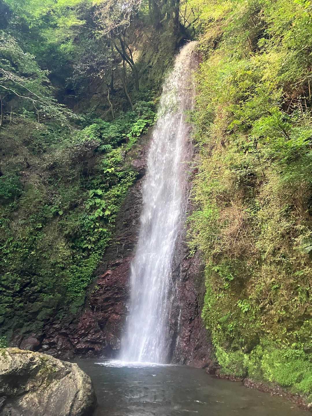 三方山 周回コースの写真