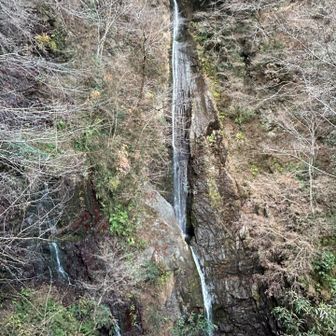日本の滝百選、洒水の滝（しゃすいのたき）。落差114mのなかなか見応えのある滝。
滝のそばにも無人販売。キンカンとミカンを買う。お土産でザックがパンパン😊
