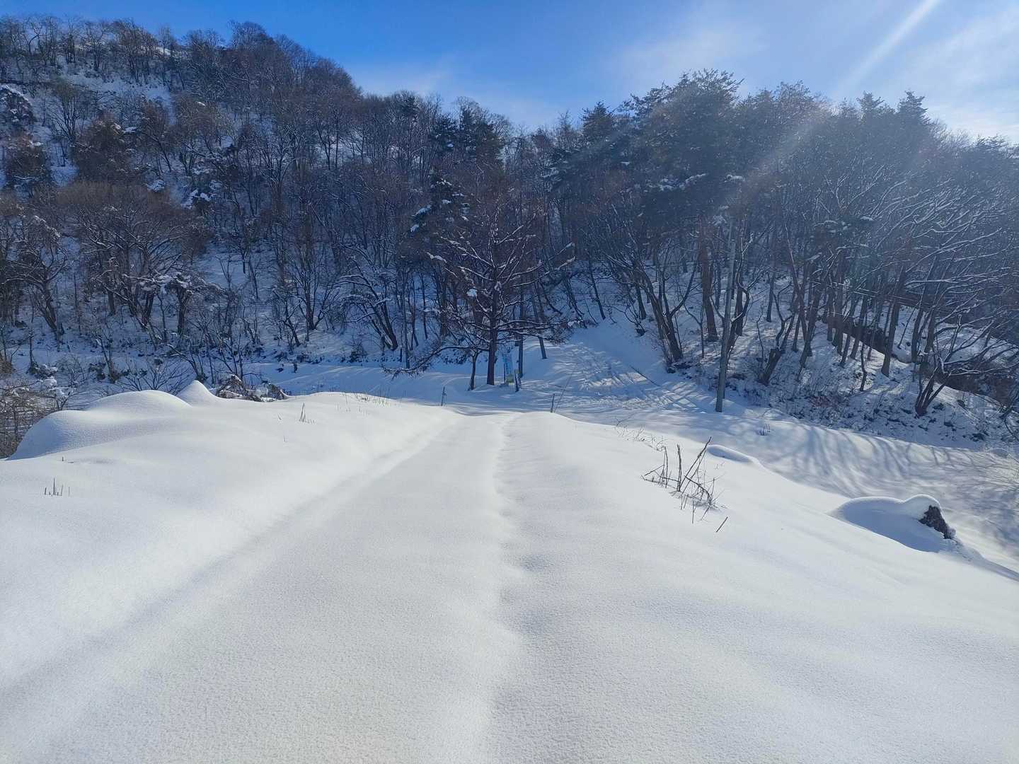 いいお天気☀