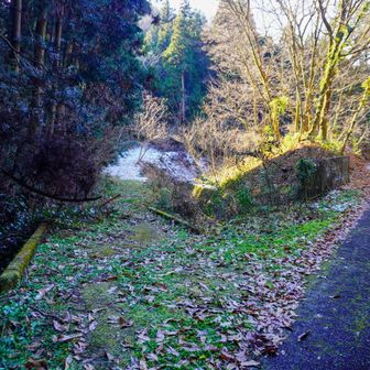 またここから山道へ