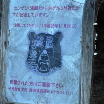 登山口の張り紙、
どこでも熊🐻出ますね