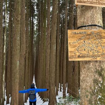 いかにも初めて来ました♪みたいに撮ってみる📸