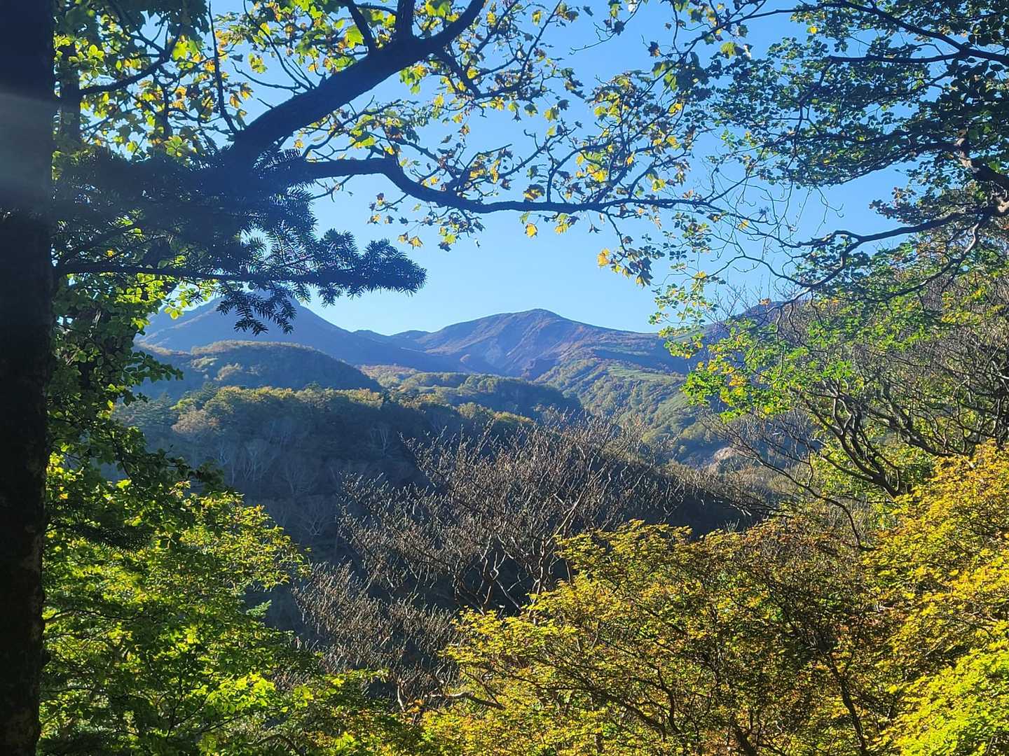 中大倉山 往復コースの写真