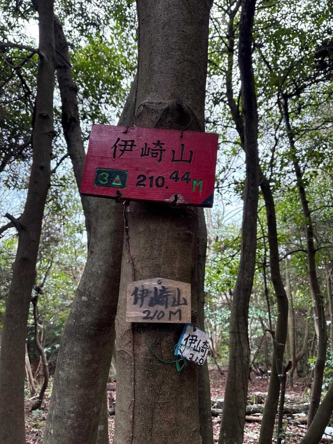 予定していませんでしたが、低くても山頂へ到着すると嬉しいです⛰️
伊崎山⛰️