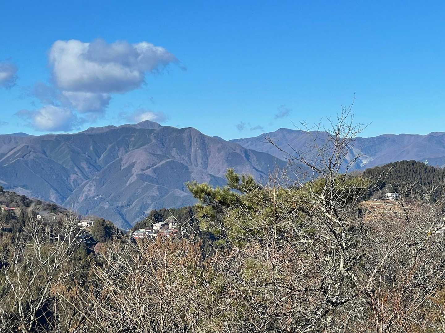 奥に鷹巣山の山頂がちょこっと見える
ここに登れば奥多摩ハイカーコンプリート
今年こそ💪！

その手前は恐らく雲取山⛰️