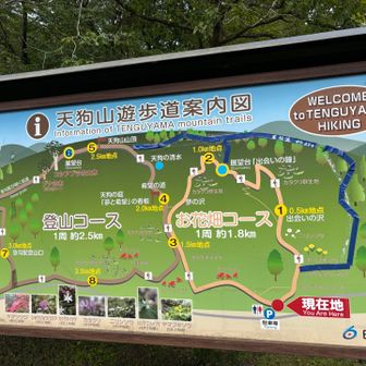 お花畑コース
③➡︎②➡︎①  と歩いてきました