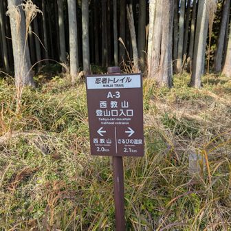 西教山登山口。
この近くの駐車場に車を停めて登山開始。