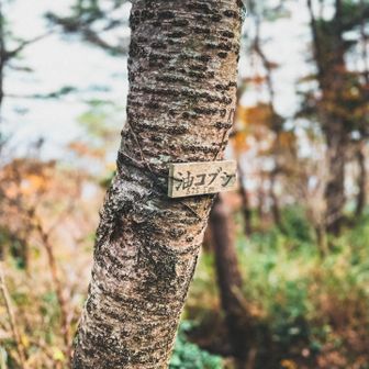 いい汗かいたでぃス(ง ˆ̑‵̮ˆ̑　)ว💦