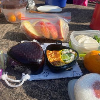 展望所のテーブルでお昼はシンプルに。
頂き物のカブを一夜漬けしたもの、りんごも頂き物。頂き物で生きています。😅
塩結びは梅干しで。😁