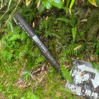 御沢登山口のルートとの分岐まで刈払いました