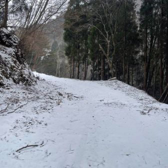 帰り道ももりもり！