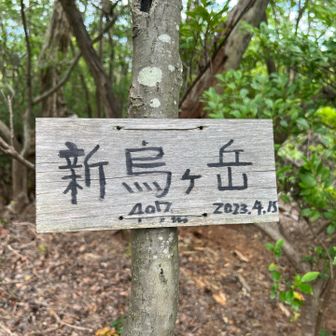 しばらくYAMAPのルート外を通って二座目の新烏ヶ岳 407m

そして休憩します

カンカン照りを覚悟してきましたが、曇りがちで助かりました

時折吹く風も涼しい