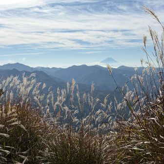 ススキと富士山
