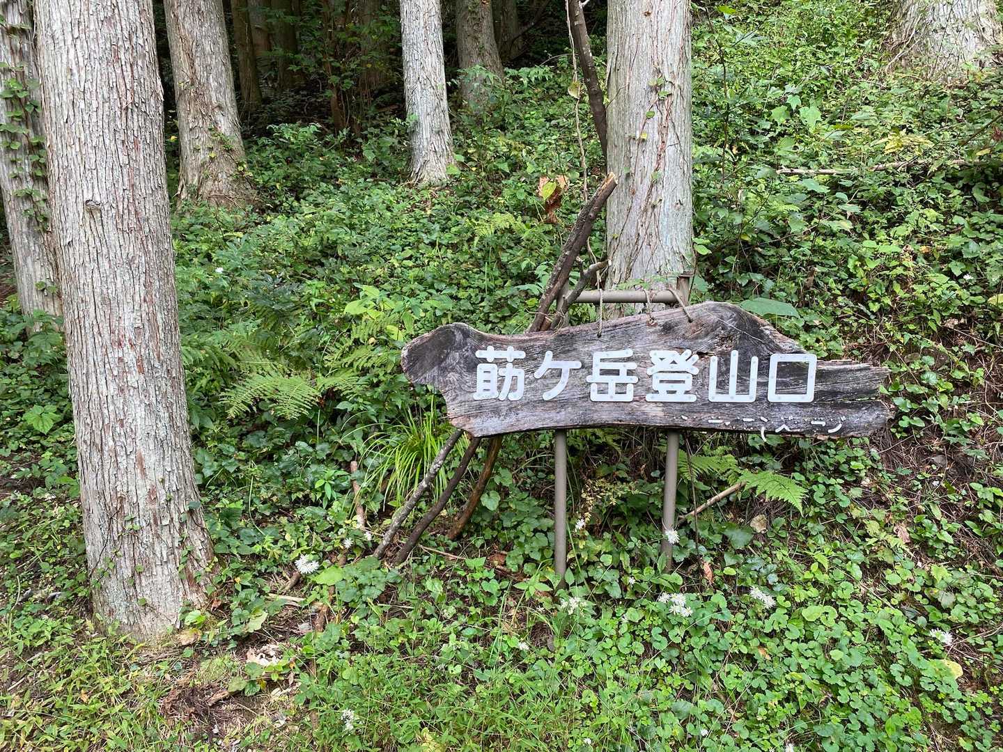 元気にスタート❗️