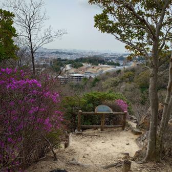 展望台から街並みが見える。