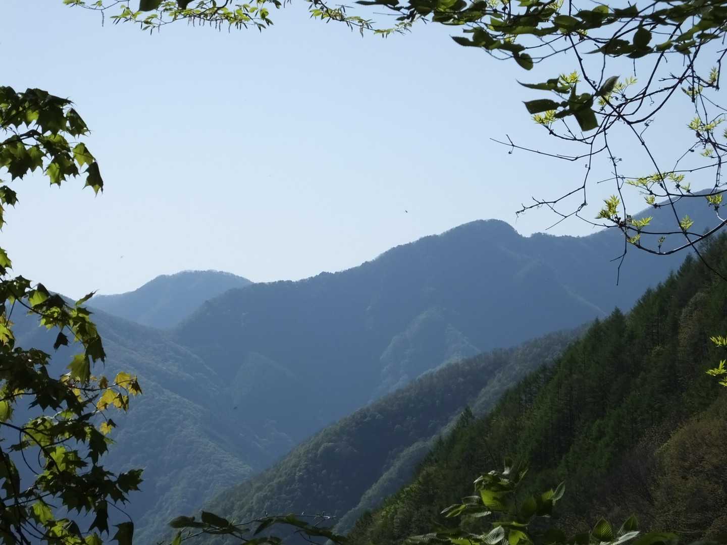 お清平から前白岩山にかけての稜線が見えました。