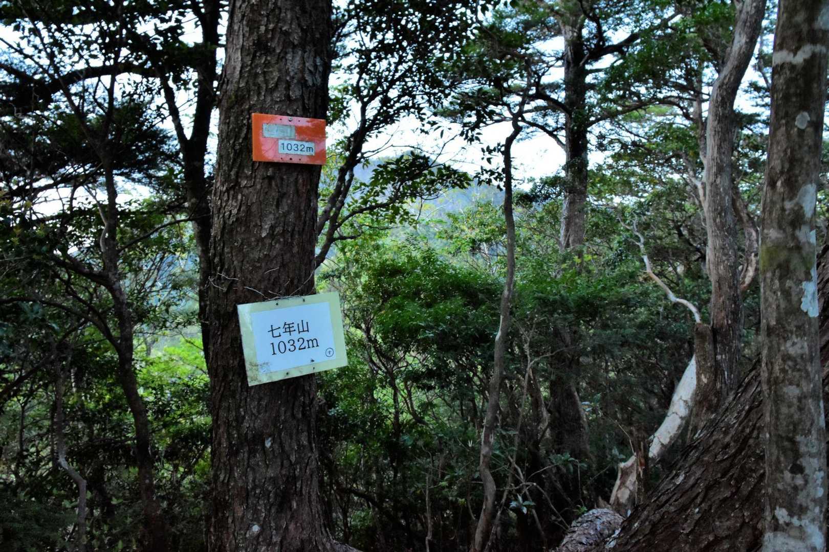 風がありちょっと寒い