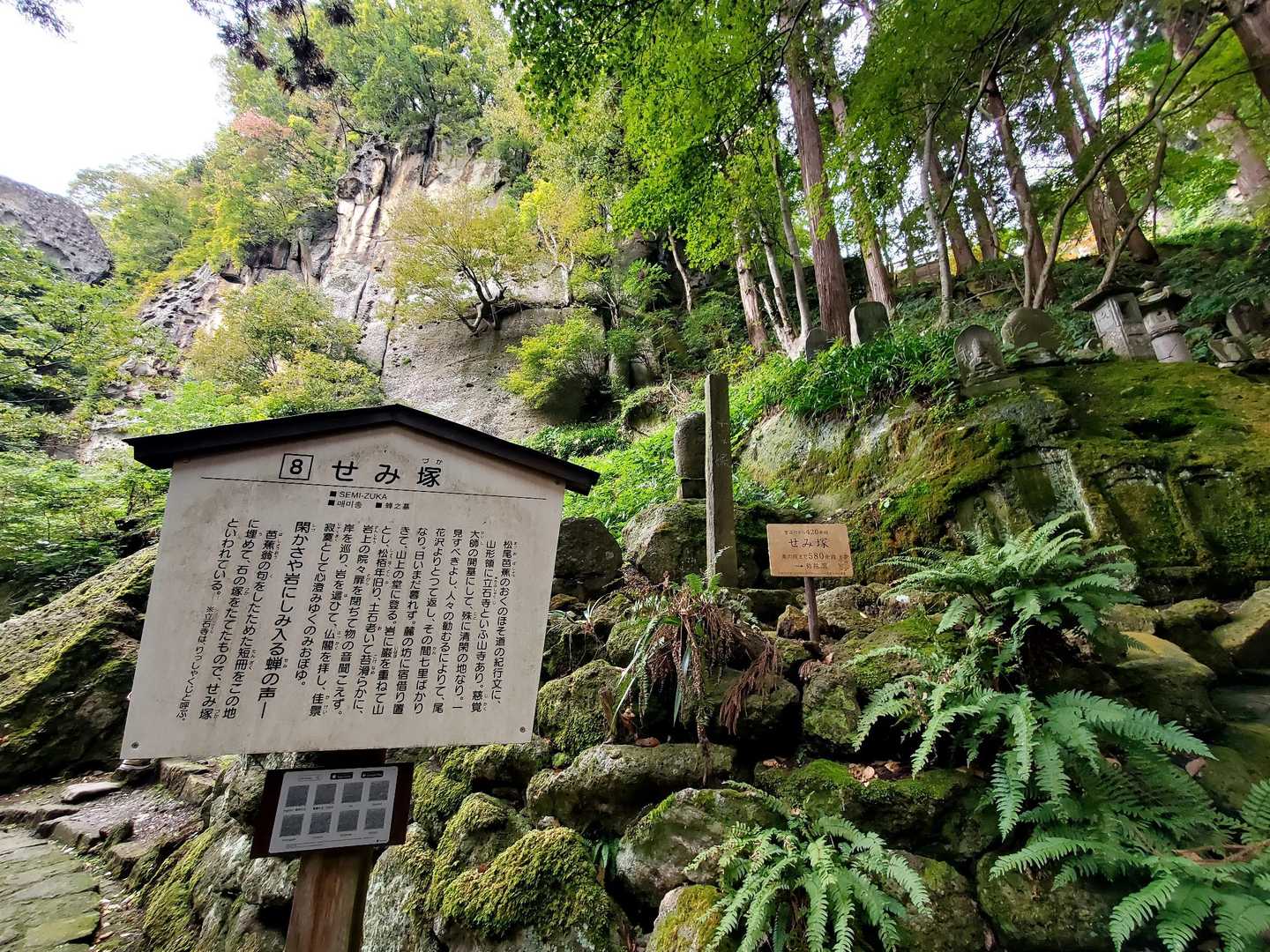 せみ塚
同じような季節、時間で参拝してみるのも良いですね😊