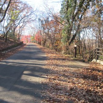 右の階段を進む