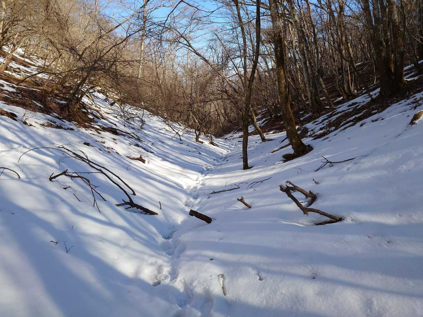 籠坂峠までの山道はほぼほぼ雪道。
3月に入ってから南岸低気圧で降った雪かな？