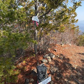 大ナゲシ　登頂❗️