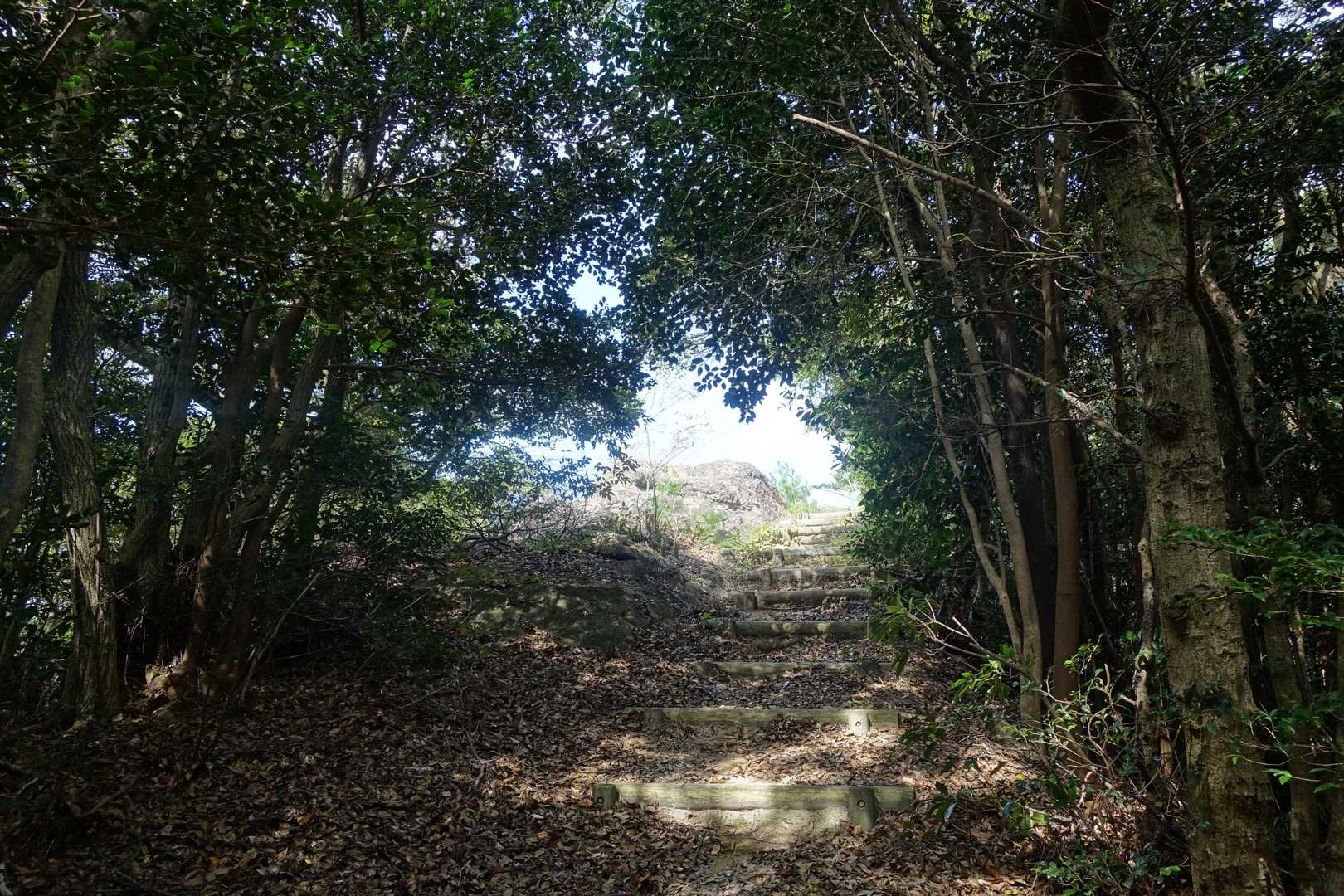 英山登山口-英山-本城岳-有田ダム登山口 周回コースの写真