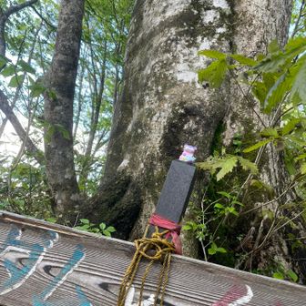 経ヶ岳・法恩寺山 アダムとイブと

（進化したやつ）
（いらんか）