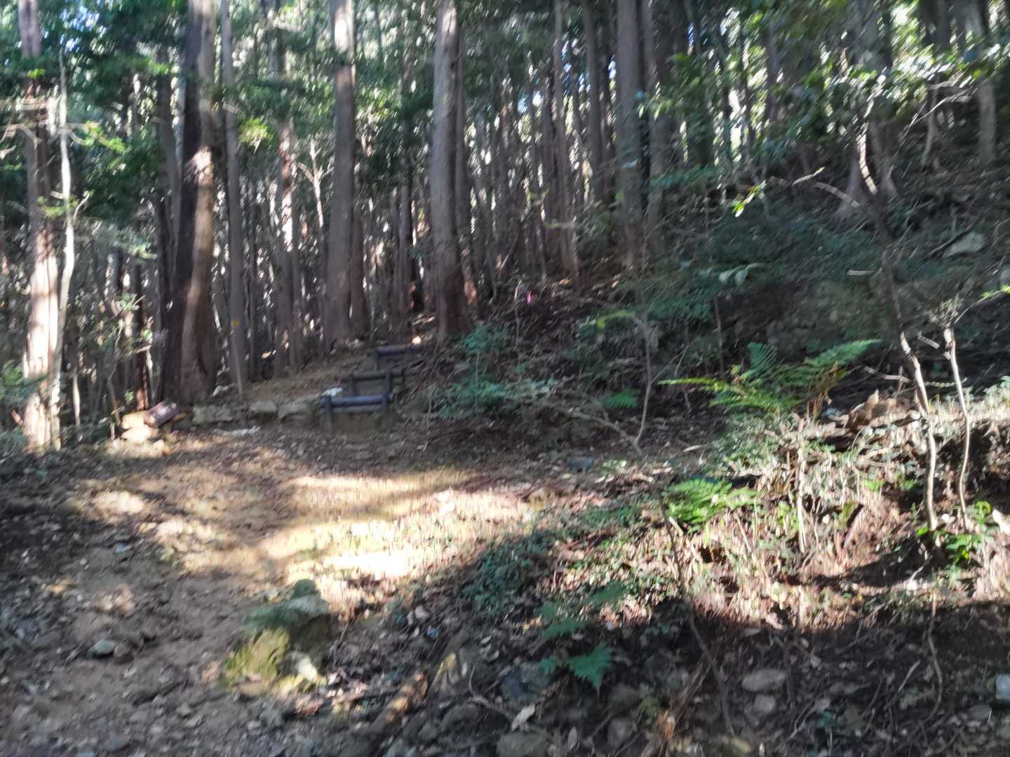 多米峠の手前の階段登りが始まります