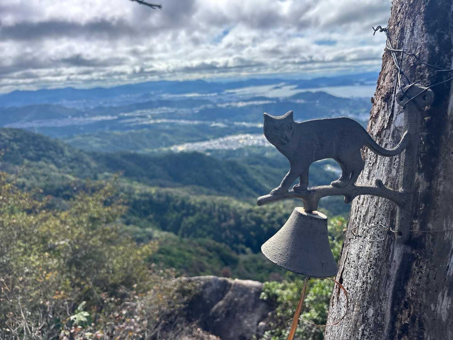 窓ヶ山西峰-仏峠-向山 周回コースの写真