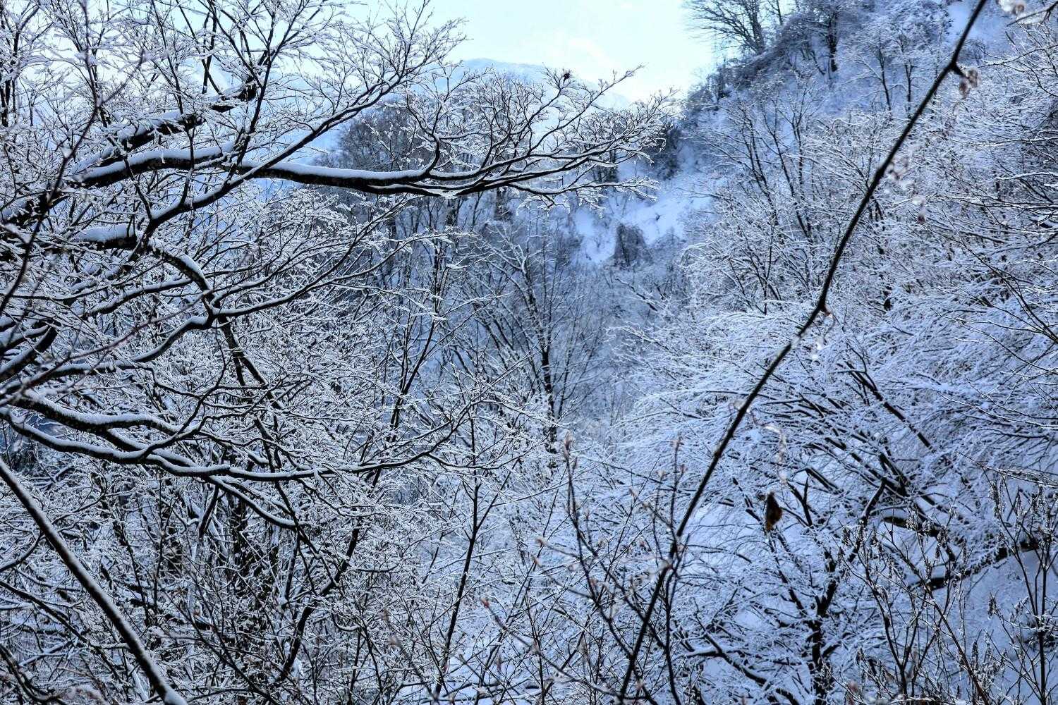 丸山 往復コースの写真