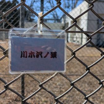 堂平山・笠山（乳房山）・大霧山 山名板が名札です
新入社員？