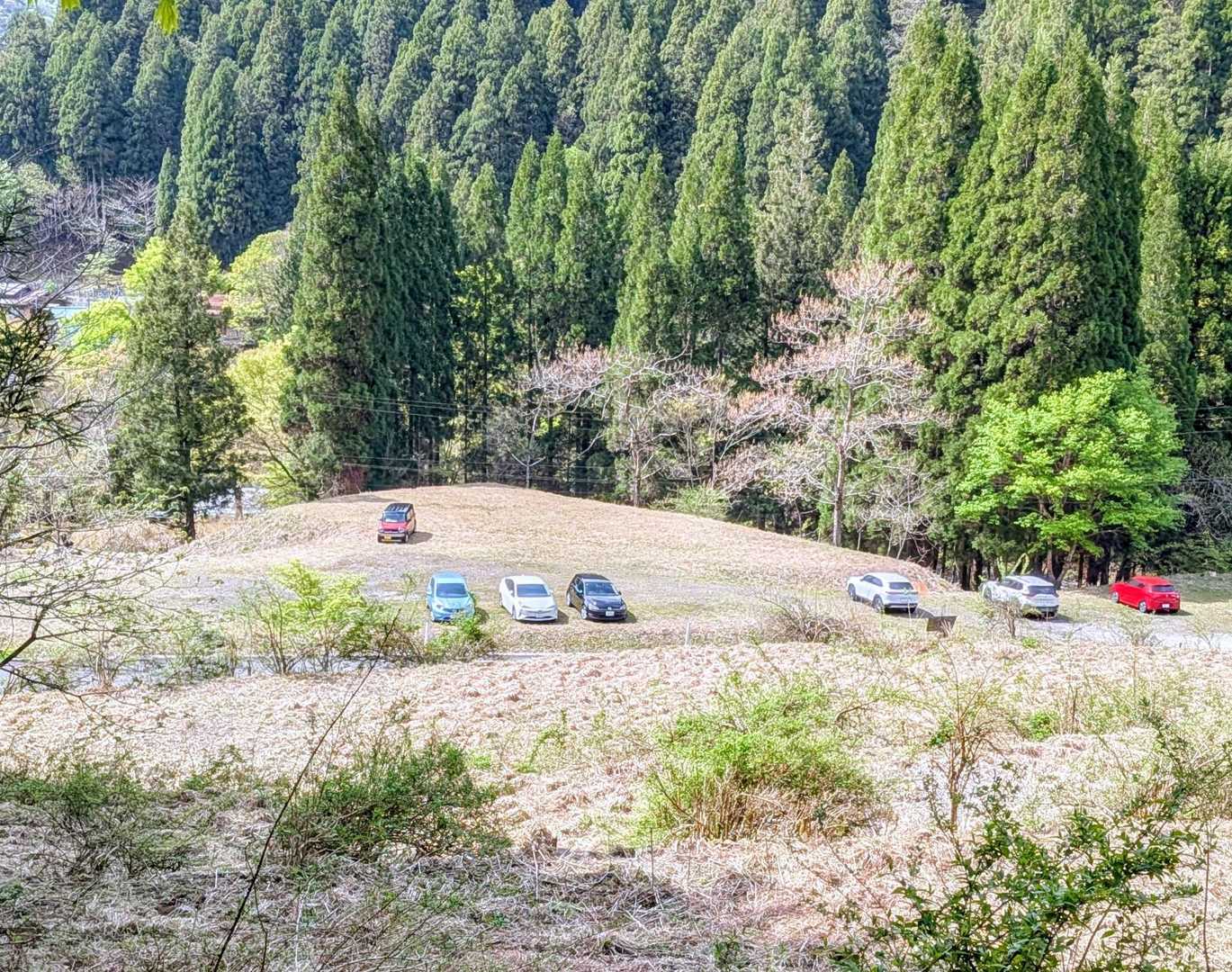 無事に下山しました👏
イワザクラ🌸の良いタイミングで舟伏山に登れ感謝です😀