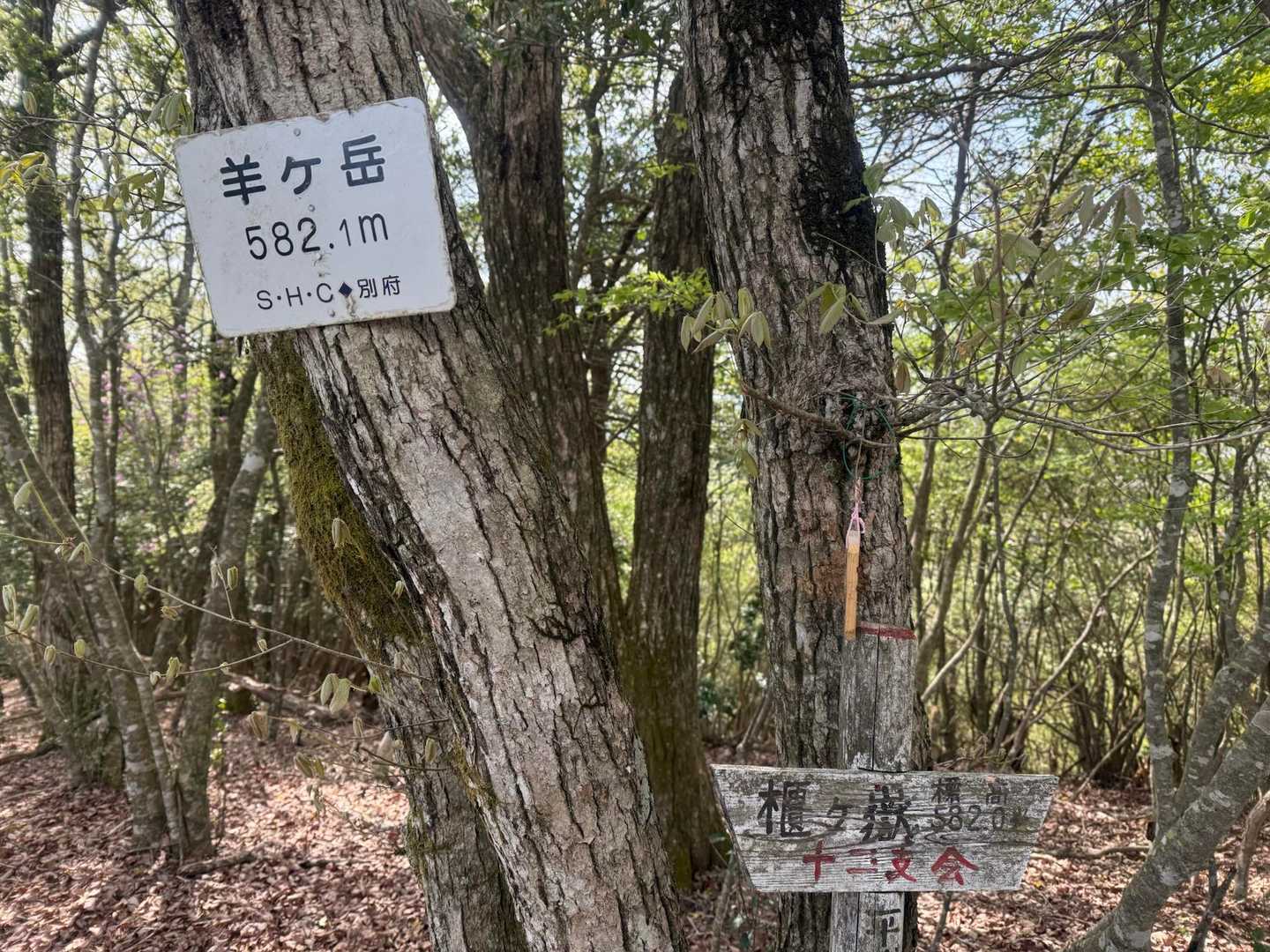 毘沙門洞-雨石山-小野峠-櫃ヶ嶽-ポイント 縦走コースの写真