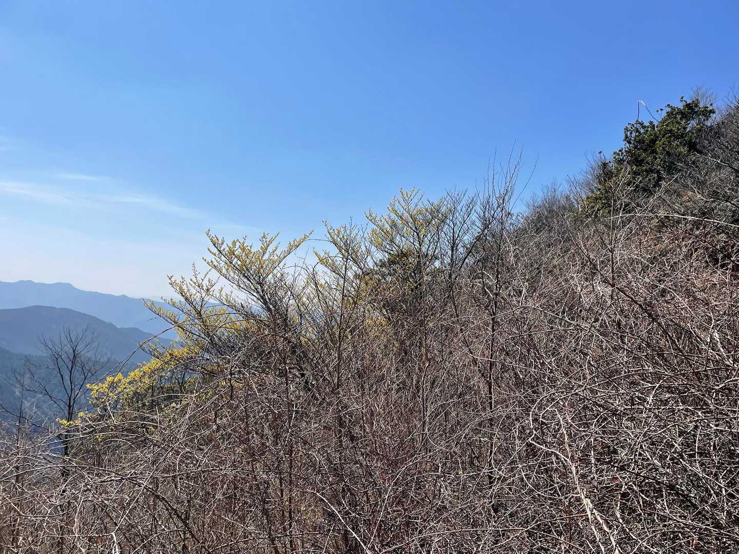 御前岳・釈迦岳周回 | シオジの原生林を歩き、福岡県最高峰を目指すの写真