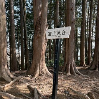 富士見台ですが