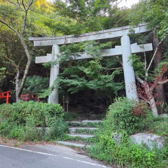 ここから。すでに下山された車が何台も。皆さん、早起き。