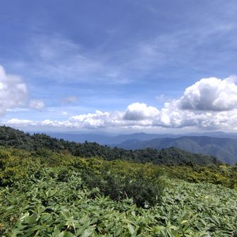 十方山山頂。快晴の眺望。十方見晴らしよし。
