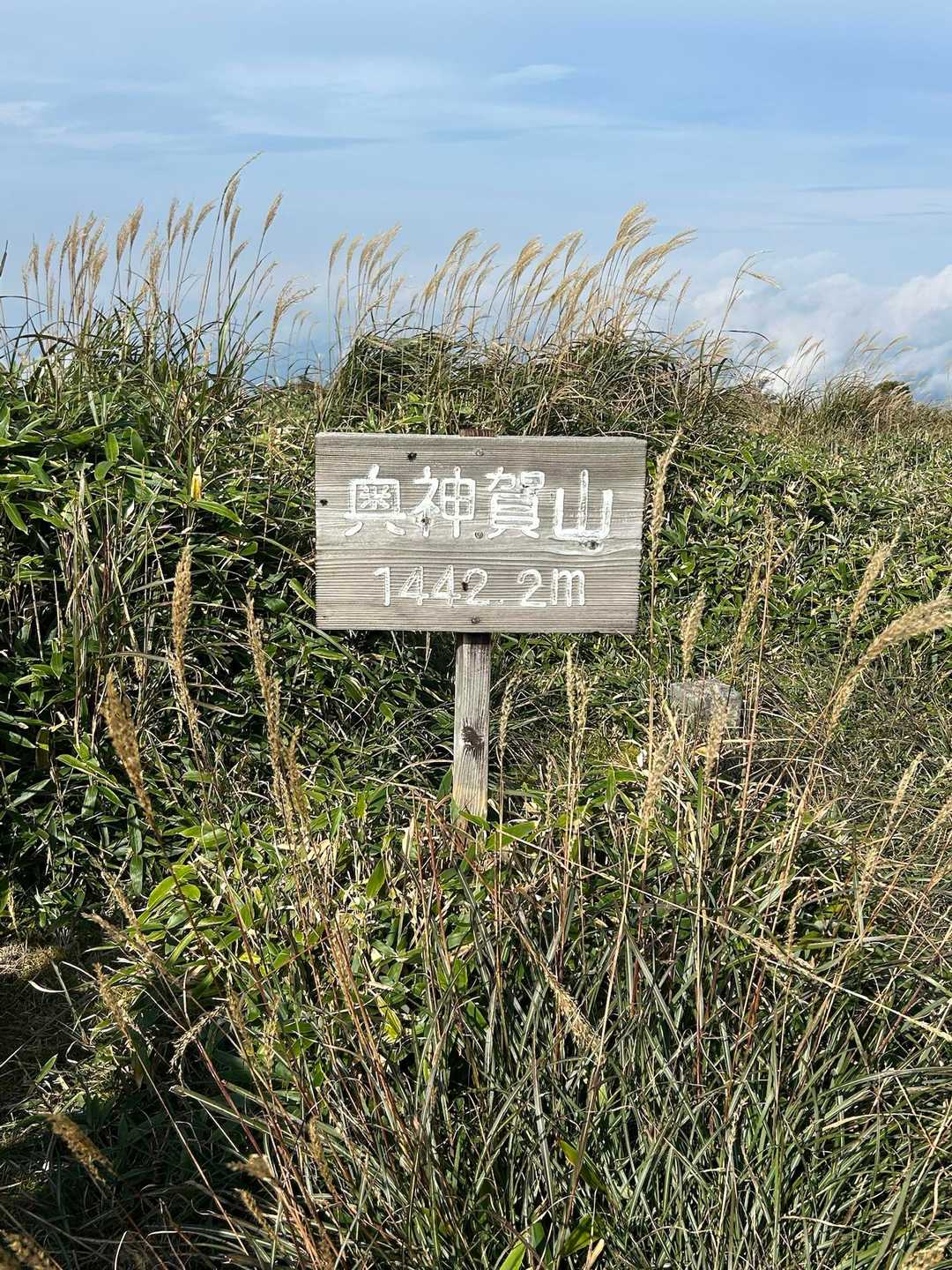 豊永峠-奥神賀山-奥神賀神社 往復コースの写真