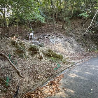 これから何回か、舗装道路を跨ぐ。①