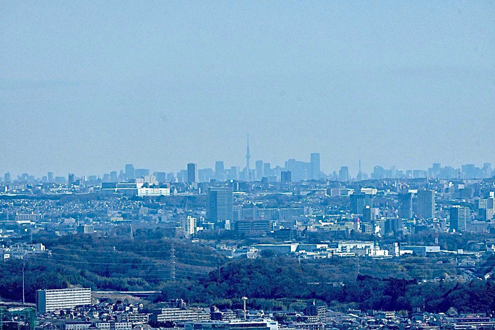 霞みつつもスカイツリー見えた🗼🙌