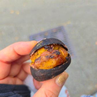 無事に下山して、焼き栗GET♡
焼きたては温かくておいしかった～🌰

娘夫婦にもお土産にしました♪