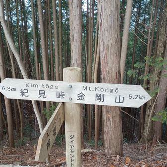 心折られる標識