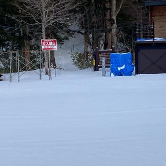 蝶ヶ岳の登山口
動物の🐾がありました。動物も登山道使っているのね